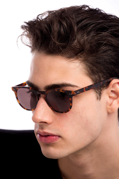 Clarke Sunglasses (Brown)